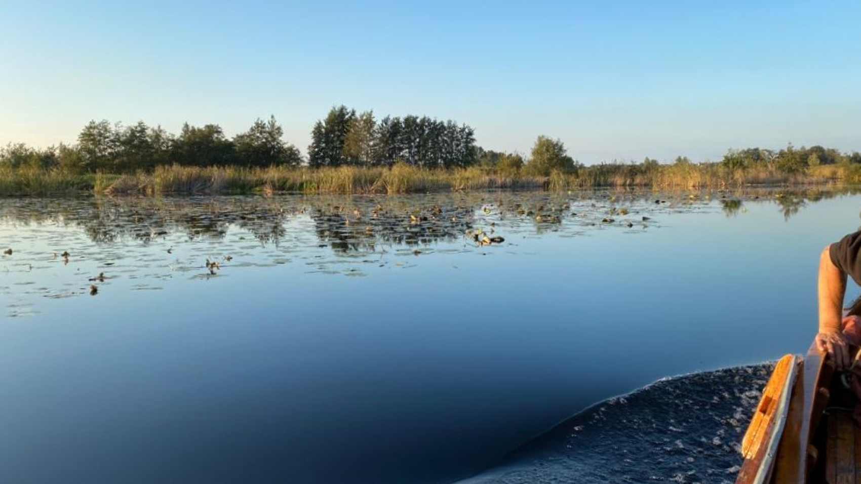 Varen in de wieden