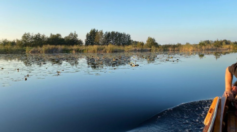 Varen in de wieden